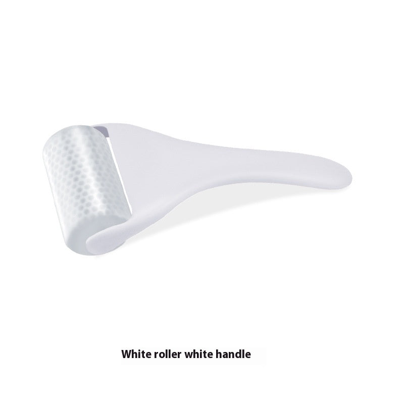 Micro Needle Facial Ice Roller